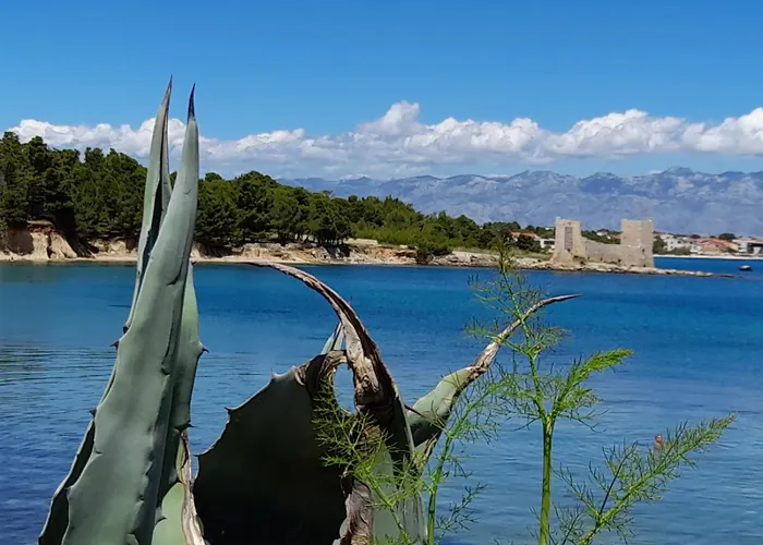 아파트 Ivo I Kata 비르