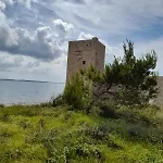 Ivo I Kata *