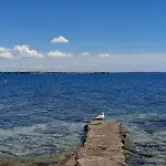 Ivo I Kata * Vir
