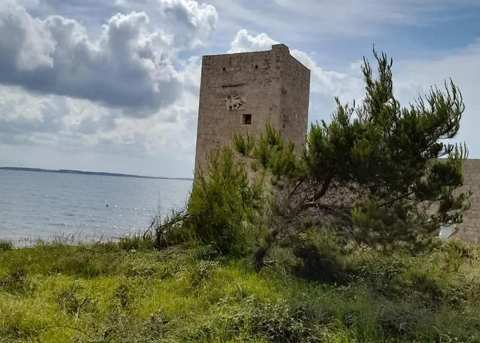 Ivo I Kata *